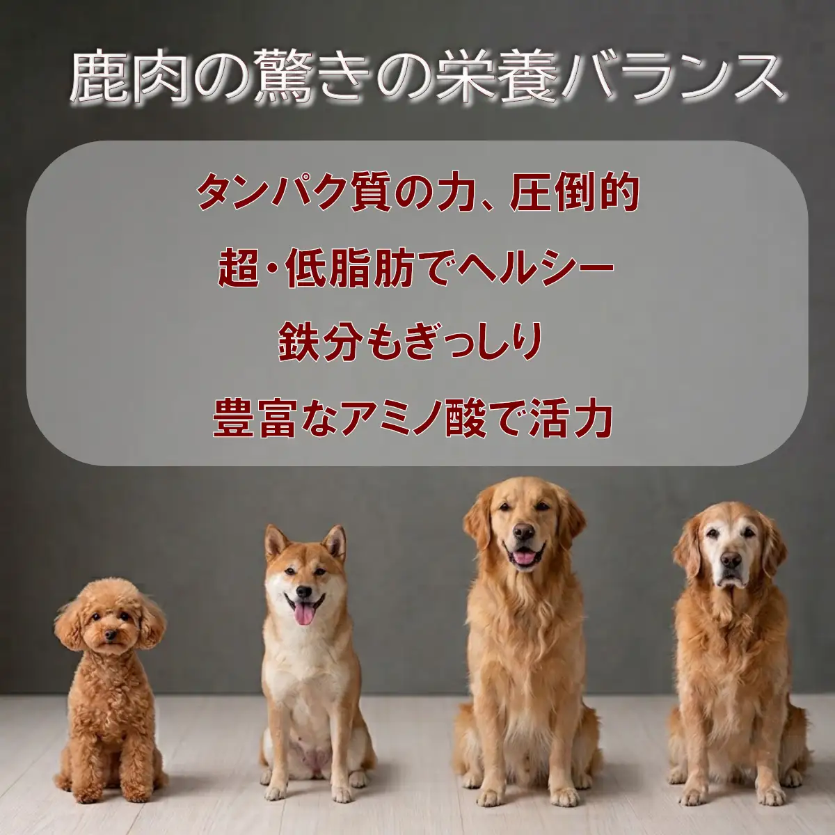 犬用ジャーキー謹製　鹿干肉　スネ肉50g×2袋