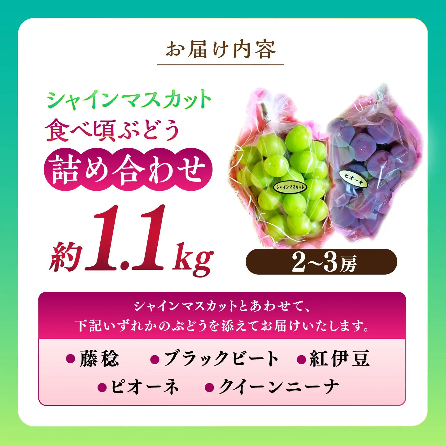 【先行予約】高知県産 生産者厳選！ シャインマスカット含む 食べ頃ぶどう詰め合わせ 約1.1kg（2～3房）〈2026年8月下旬～2026年9月末頃まで発送〉 / マスカット ぶどう 葡萄 ブドウ 果物 フルーツ デザート 詰め合わせ セット 【COCO葡萄園】[ATIO002]