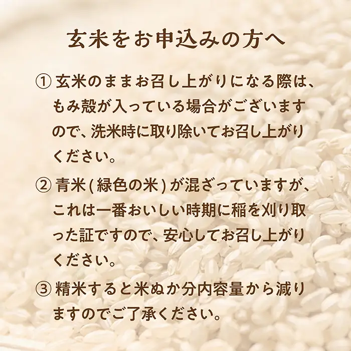 【令和8年産予約】【玄米】山形県産 はえぬき 30kg
