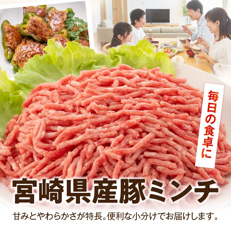 宮崎県産豚ミンチ 3kg_kn126-002-030