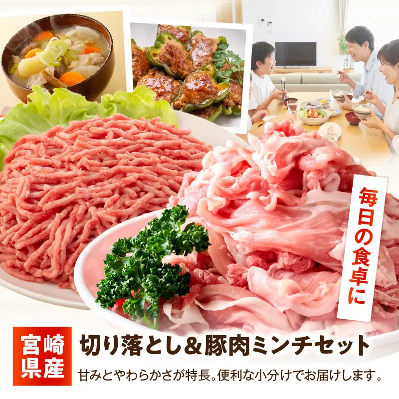 宮崎県産豚肉 切り落とし＆豚肉ミンチセット 3kg_kn126-003-030