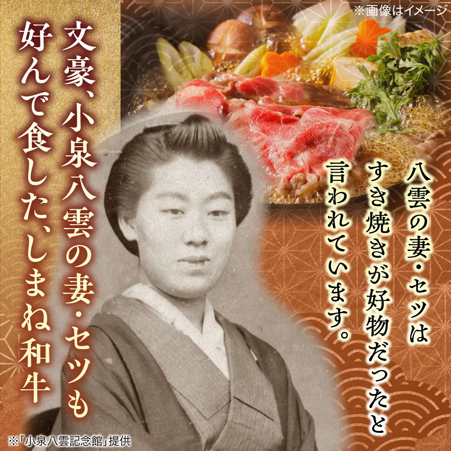 最高級品質の和牛肉！しまね和牛 ロースすき焼き用 500g（250g×2パック） 島根県松江市/有限会社宮本食肉店[ALCV014]