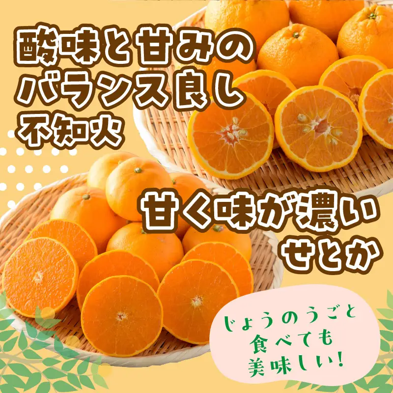 【1149-2】せとか・不知火詰め合わせ《先行予約2027年2月中旬頃より順次発送予定》