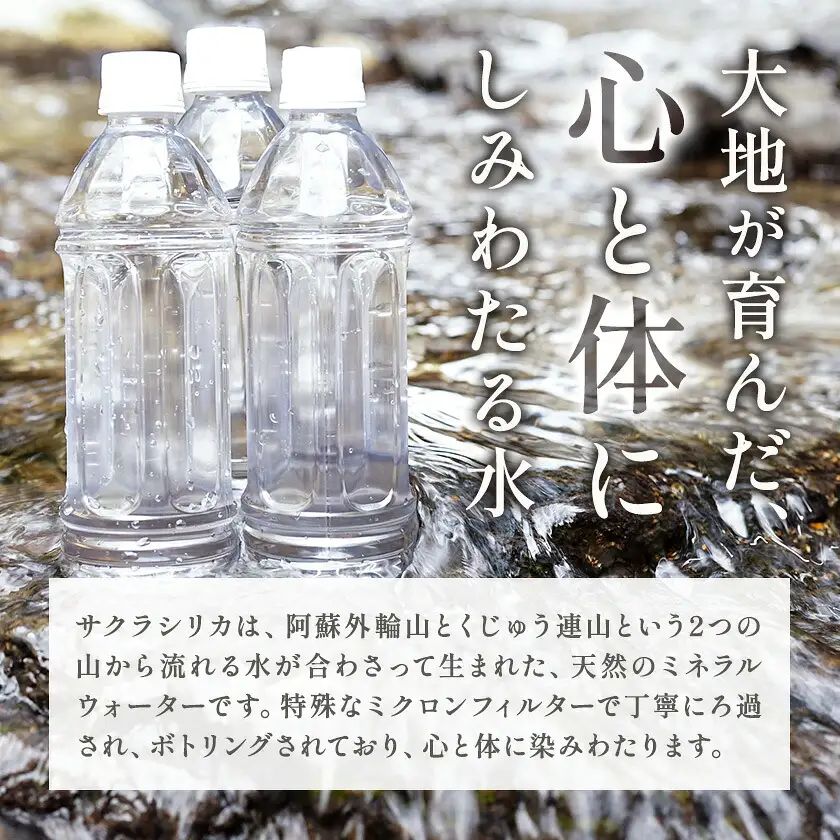 【3ヶ月定期便】サクラシリカ 500ml 16本 みずの里