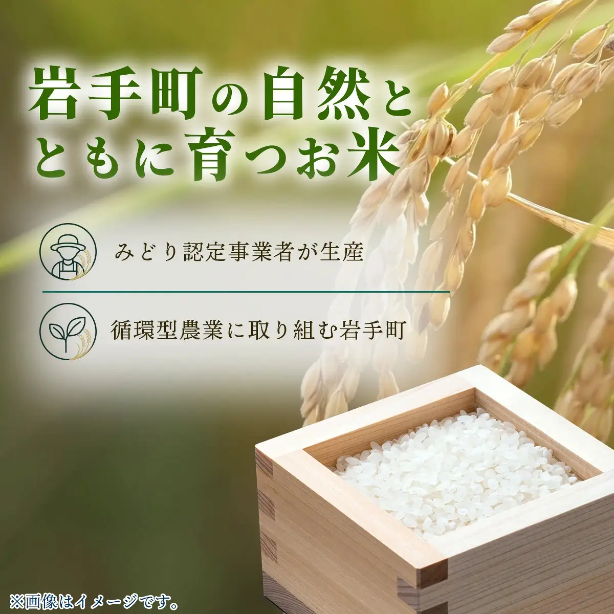 【先行予約】 令和8年度産 白銀のひかり 5㎏ 新米