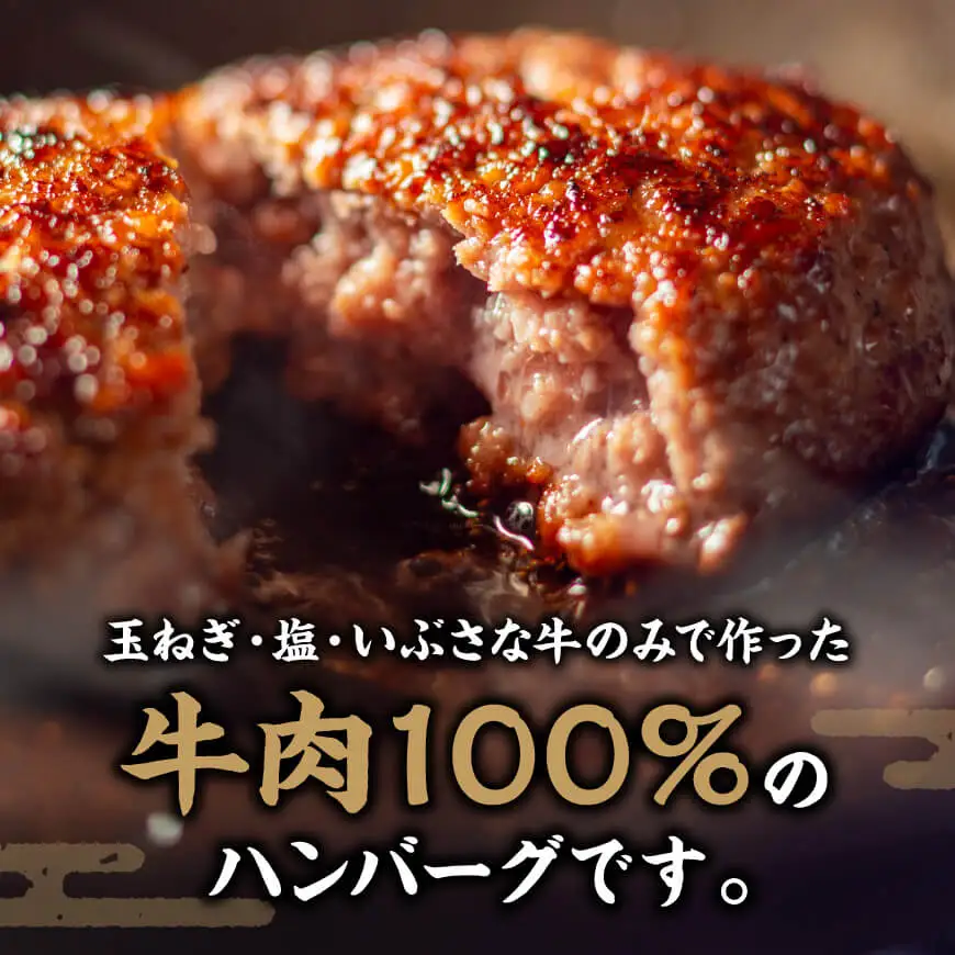 【川南町産】ブランド和牛　いぶさな牛ハンバーグ120g×5個 【 宮崎県産 牛 ハンバーグ 黒毛和牛 】