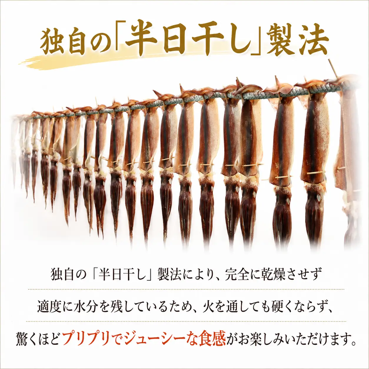 スルメイカ 干物 5個 （約500～700g） 干物 するめいか 干しイカ いか イカ 半日干し 生干し 5個 5枚 魚介類 海鮮 水産加工品 冷凍 真空パック 小分け 室戸海洋深層水 塩干し イカ焼き 炒め物 おかず 惣菜 おつまみ 酒の肴 晩酌 つまみ 夕食 晩ご飯 バーベキュー BBQ キャンプ アウトドア 家庭用 お取り寄せ 贈答 ギフト 贈り物 室戸沖 水揚げ 高知県 室戸市