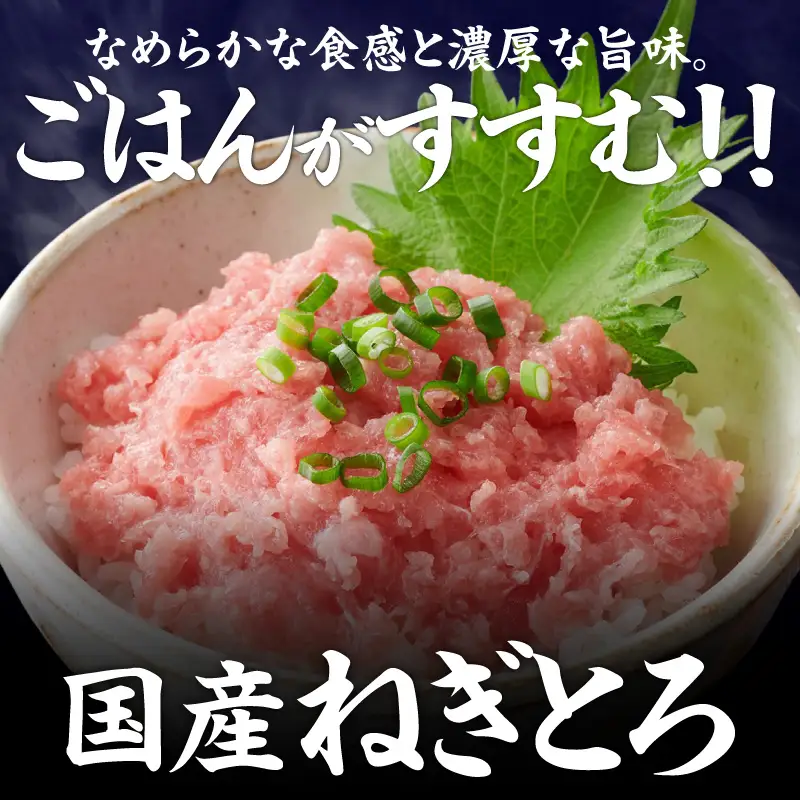 ＜ 選べる配送月 ＞【神奈川県漁連】 天然まぐろ ねぎとろ 500g（100g×5パック） M077-015-01 マグロ 鮪 ネギトロ