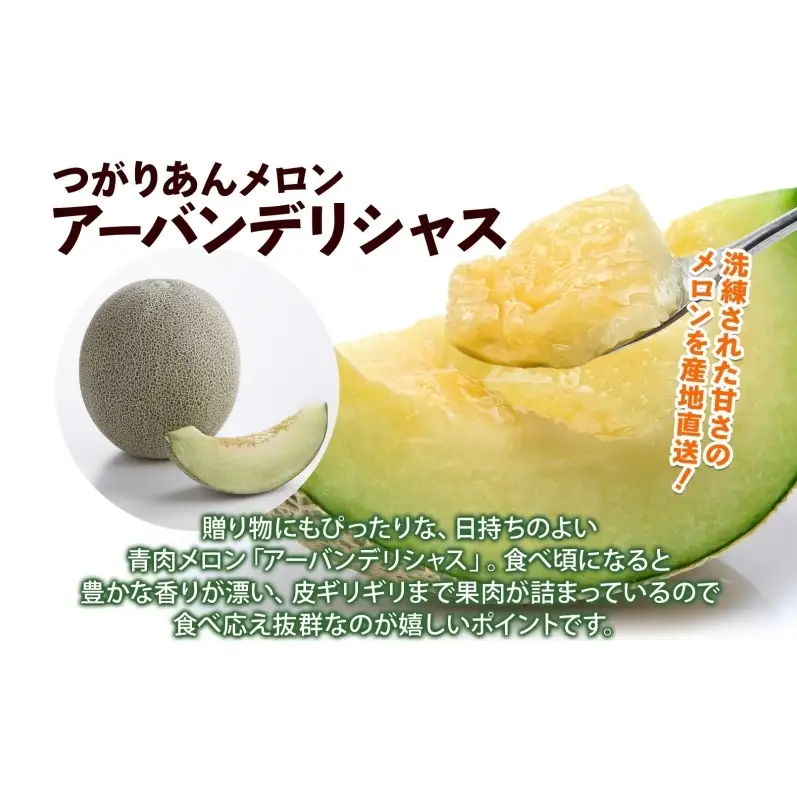 青森県産 つがりあんメロン 「アーバンデリシャス」 Lサイズ 2玉 甘い 濃厚 ハウス栽培 弘果弘前中央青果 産地直送 メロン フルーツ 果物 ギフト 贈答 青森県 鶴田町