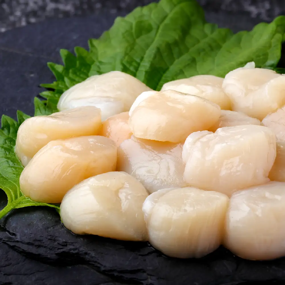 【 訳あり 】 北海道産 ホタテ貝柱 冷凍 500g × 2 ホタテ 貝柱 貝 貝類 海鮮 魚介類 魚介 おつまみ 晩酌 酒の肴 国産