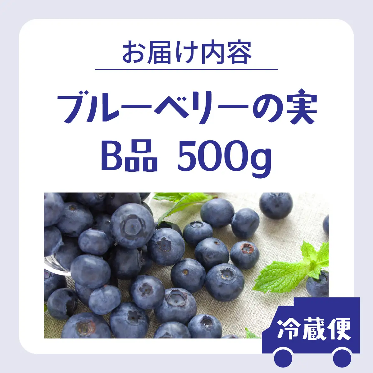 ブルーベリー 訳あり(B品／冷蔵) 500g【kzh-023】
