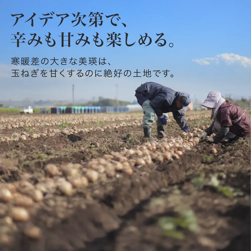 【先行予約】玉ねぎ 訳あり 5kg ＜令和8年産＞ 美瑛選果 美瑛町産