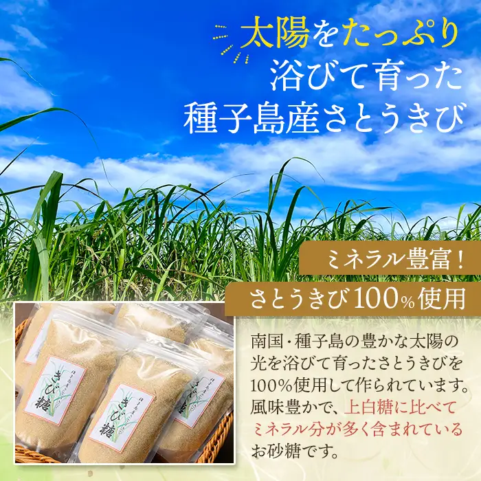 ＜定期便・隔月全4回＞きび砂糖 計10kg・500g×5袋×4回 【あぐりの里】n474