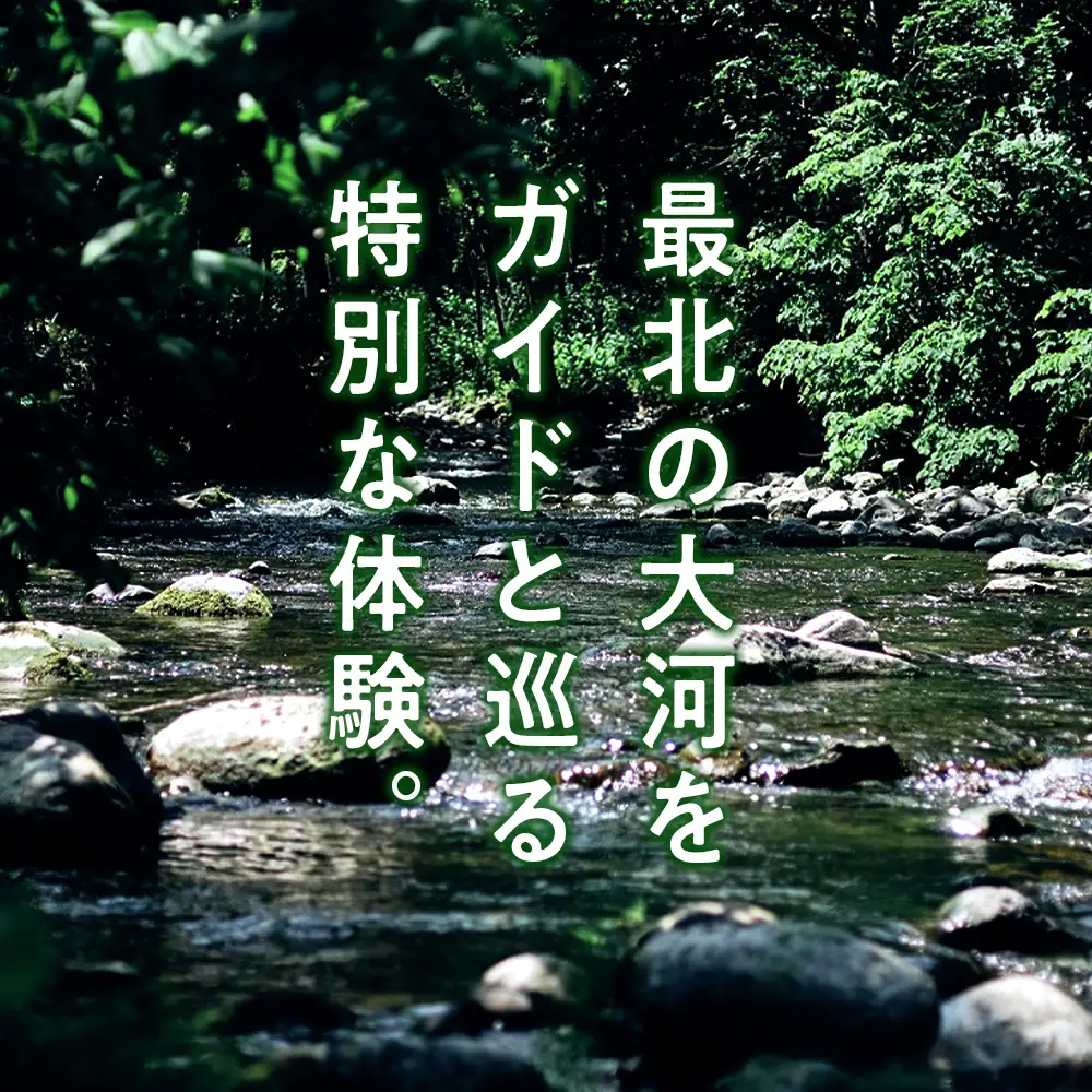 フライフィッシングガイドチケット