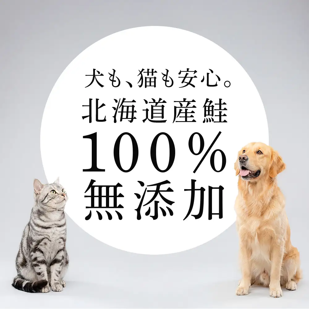ペット用 シャケジャーキー  森魚 モリオ 
