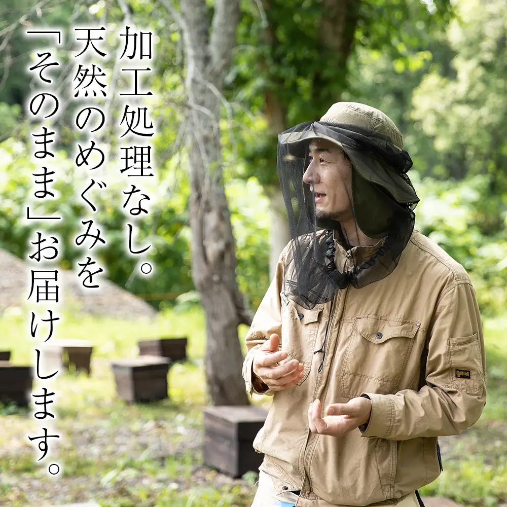 北海道中川町産はちみつ（シナ、アザミ、キハダ）各種250g　KIKORIシリーズ「森蜜」