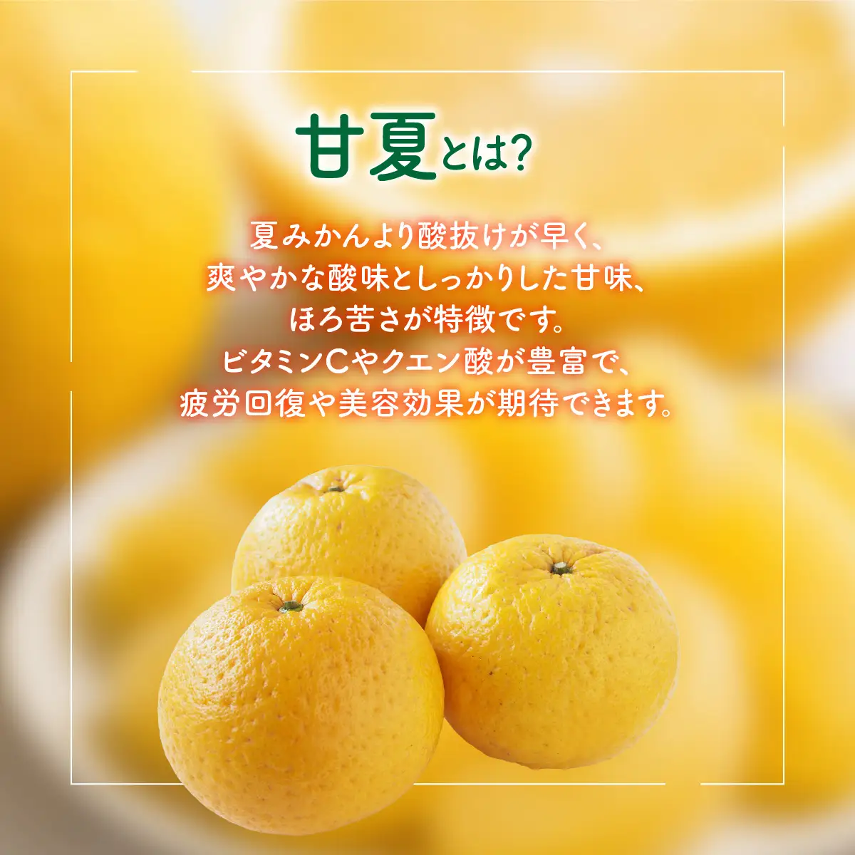 【先行予約】家庭用　甘夏3kg　※2027年3月中旬より順次発送予定 IKTAT017