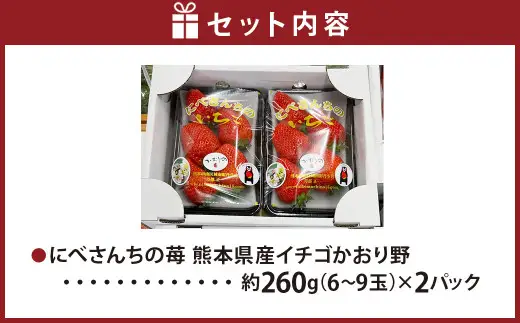 にべさんちの苺 熊本県産イチゴかおり野 約520g【2026年12月上旬発送開始】 苺 いちご フルーツ 果物 熊本