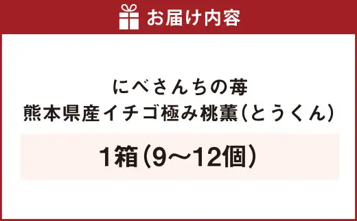 にべさんちの苺 熊本県産イチゴ極み桃薫(とうくん)  【2027年1月下旬発送開始】