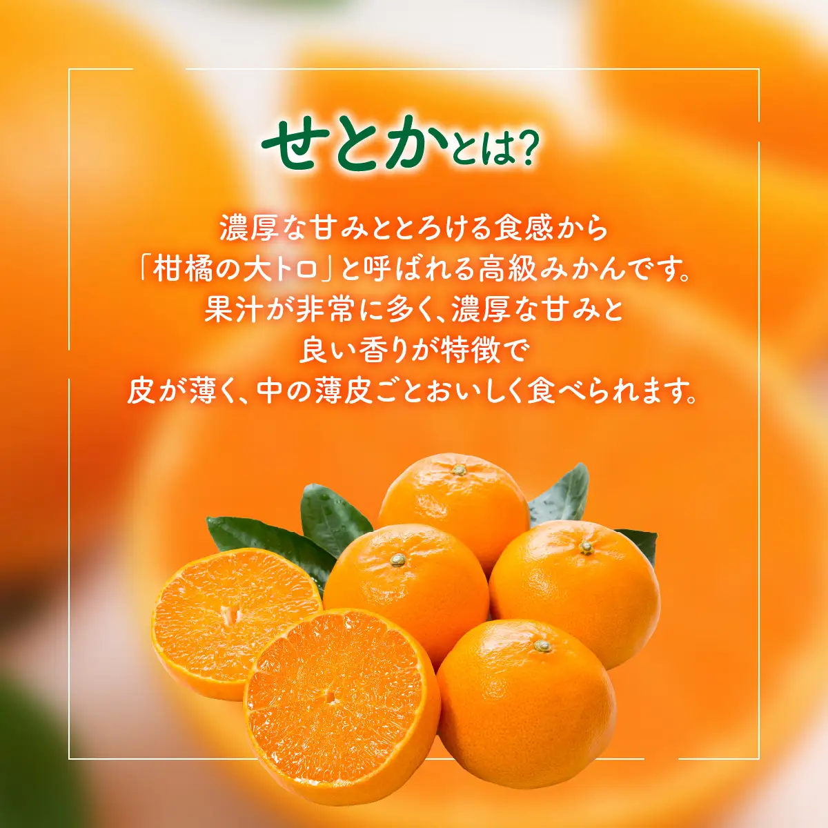 【先行予約】【柑橘】せとか 3kg　※2027年3月中旬より順次発送予定 IKTAT019