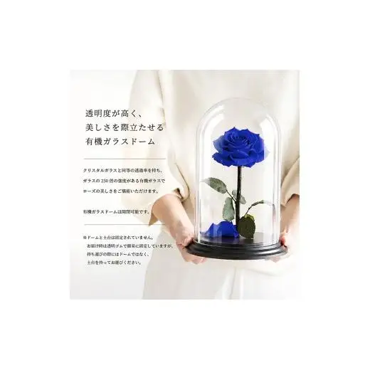 AMOROSA MODERNO デスティニーローズ（1本立ち） エクセレントブルー【upel0009】