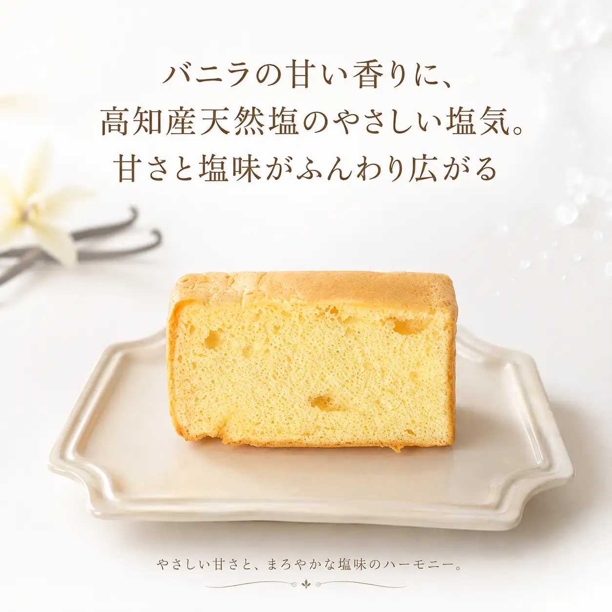 塩バニラ香る しっとりふわふわシフォンケーキ 1箱8個入