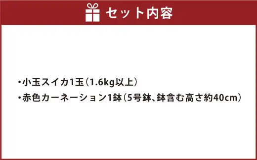 《 母の日 》 小玉スイカ1玉とカーネーション1鉢 【2027年5月上旬発送（母の日）】 先行予約 果物 スイカ 花 カーネーション 贈答 ギフト 贈り物