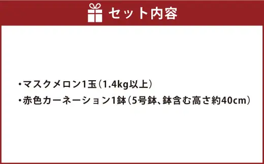 《 母の日 》 マスクメロン1玉とカーネーション1鉢 【2027年5月上旬発送（母の日）】 先行予約 果物 メロン 青肉 花 カーネーション 贈答 ギフト 贈り物