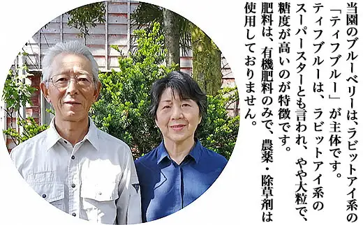 有機ブルーベリー500g【傳九郎農園】
