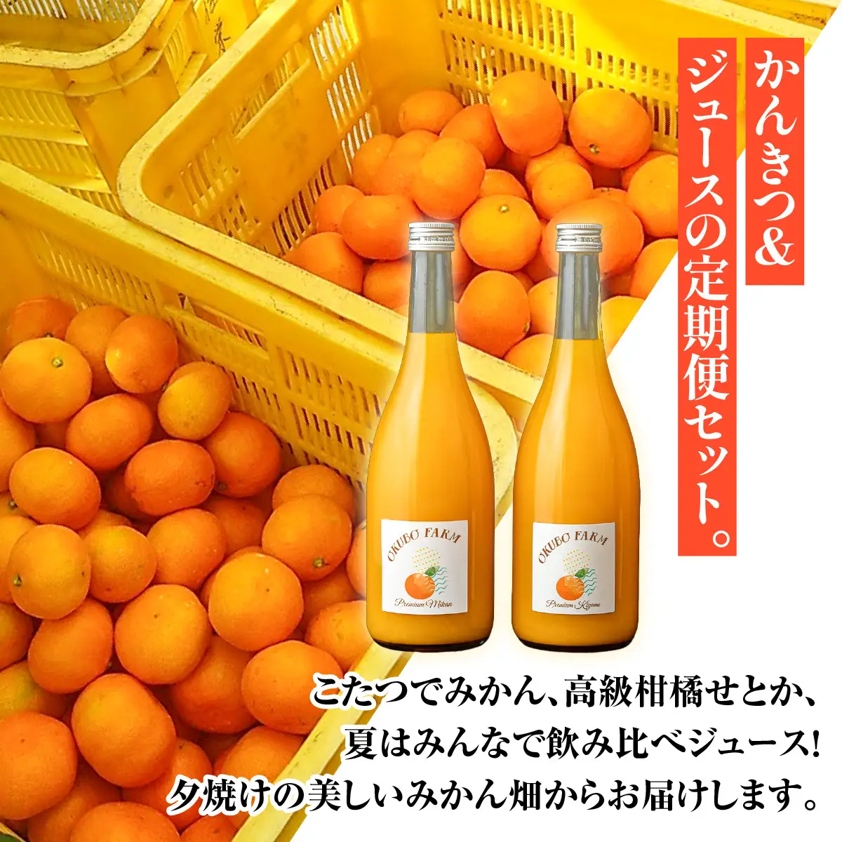 夕焼け定期便　12月温州みかん(生果)5kg　3月せとか(生果)3kg　7月Premiumみかんジュース、Premiaum清見ジュース、720ml各1本 IKTAT025