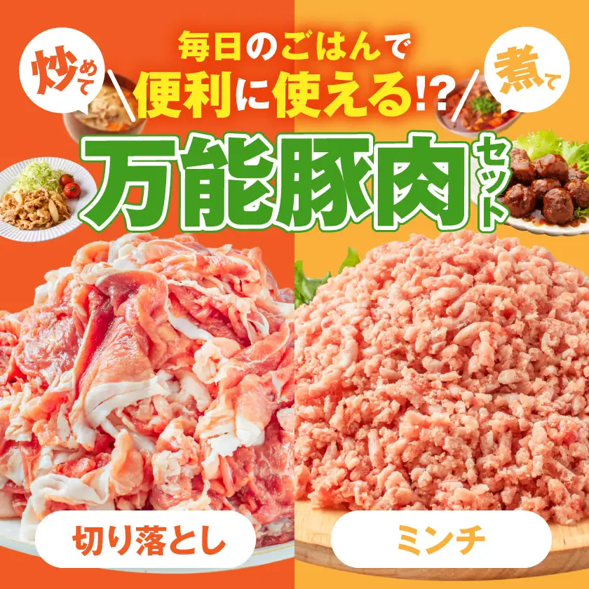 国産豚肉2kgセット【切り落とし&ミンチ】〔LG-89-019-2kg〕_(都城市)