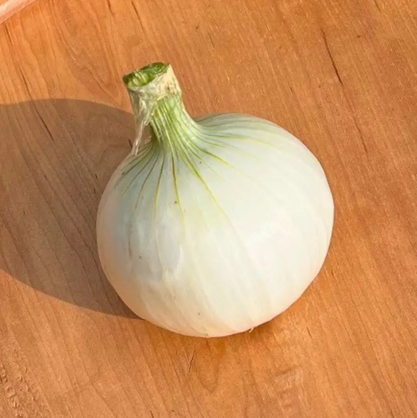 【有機堆肥・栽培期間中農薬不使用】シャキ甘 白＆赤玉ねぎミックス 1.5kg サラダ用 北海道産 十勝 池田町 ゆうゆう農園（たまねぎ 2色 食べ比べ）玉ねぎ たまねぎ