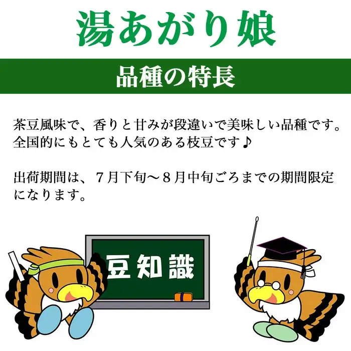 有機枝豆（湯あがり娘）1kg【傳九郎農園】