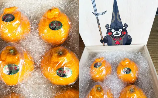 くまモン 木箱入り 不知火 約2.8kg 約6玉前後 柑橘 果物 しらぬい みかん 蜜柑 フルーツ くだもの  【2027年3月上旬発送開始】