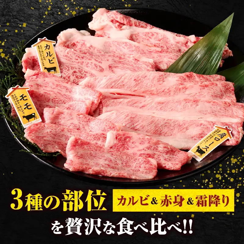 宮崎牛『スライス』3種食べ比べセット(合計600g)肉 牛 牛肉 おかず 国産_T009-038