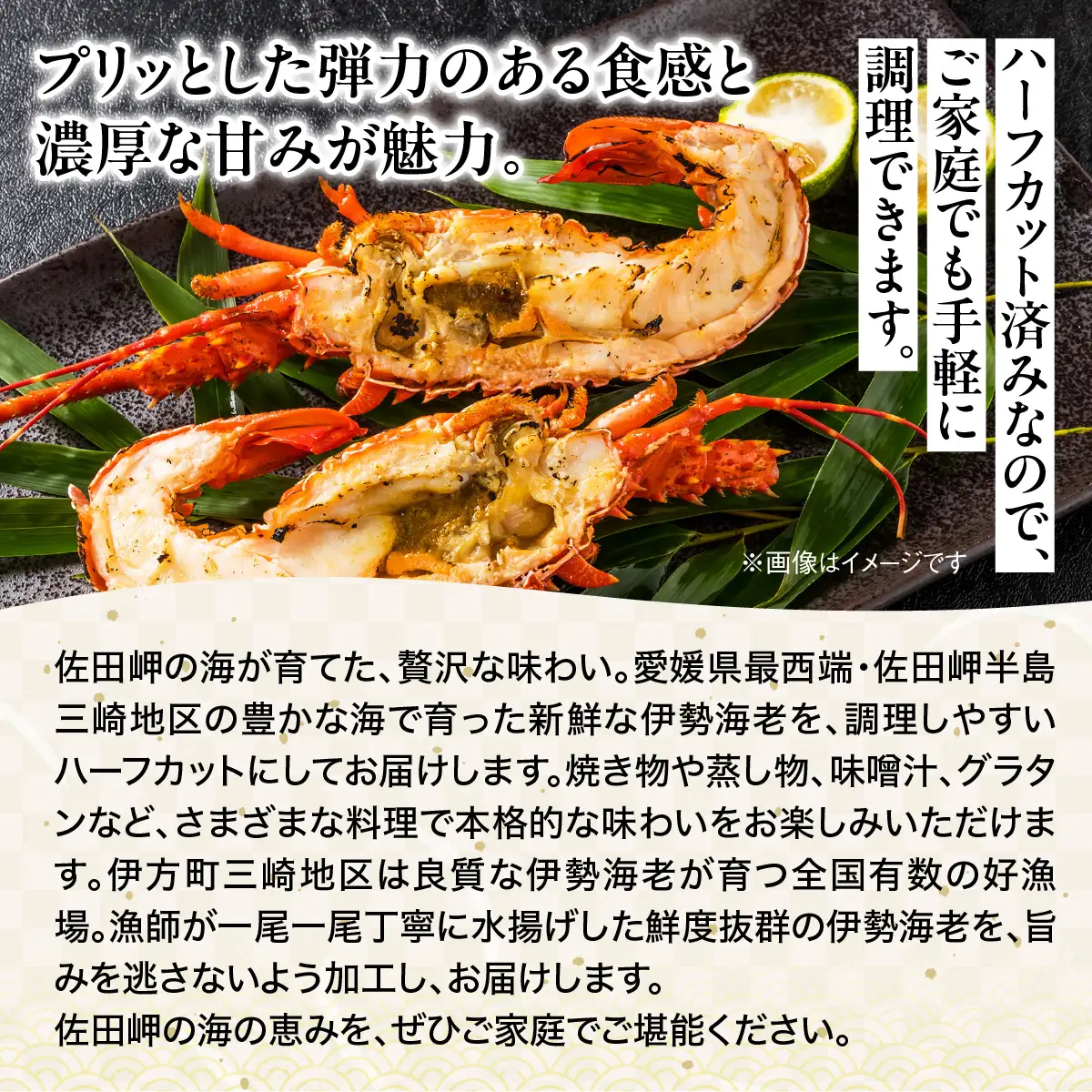 伊勢海老ハーフカット IKTJ027