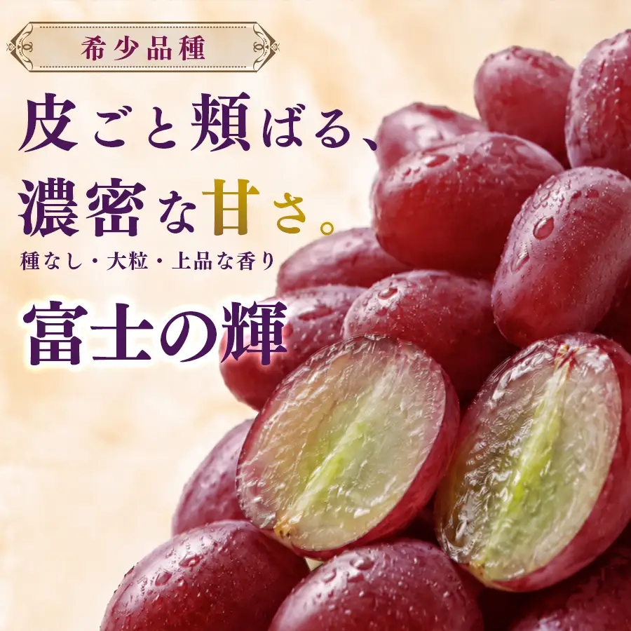 高級種無しぶどう 富士の輝 松田ぶどう園
