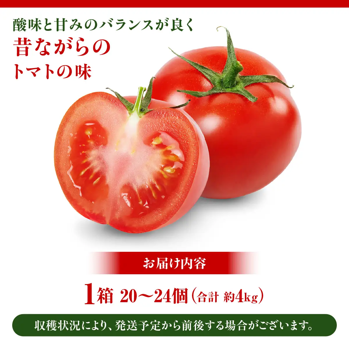【先行予約・2026年9月中旬～発送】千葉県山武市産 船木さんちのトマト1箱（20～24個・約4kg）　SMDD002