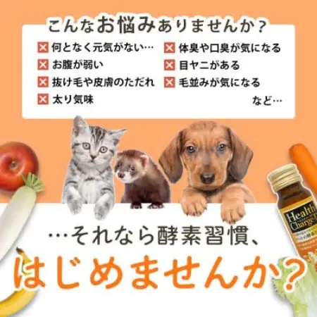 ペット用酵素飲料 ヘルスチャージD 50ml×5本【1755620】