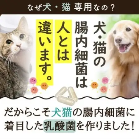 ペット用乳酸菌サプリ ヘルスチャージN 60カプセル【1755626】