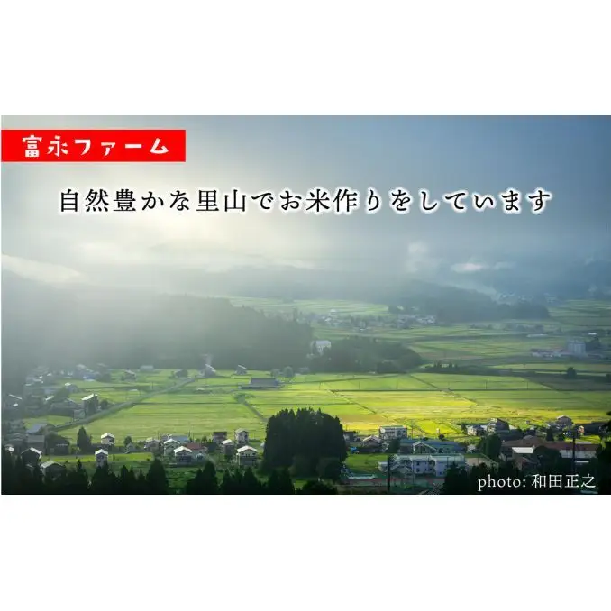 令和8年産 先行予約 「田でん物語」魚沼産コシヒカリ（精米）20kg（5kg×4） お米 白米 ご飯 ブランド米 銘柄米 精米したて 新潟県産 直送 主食 炭水化物 