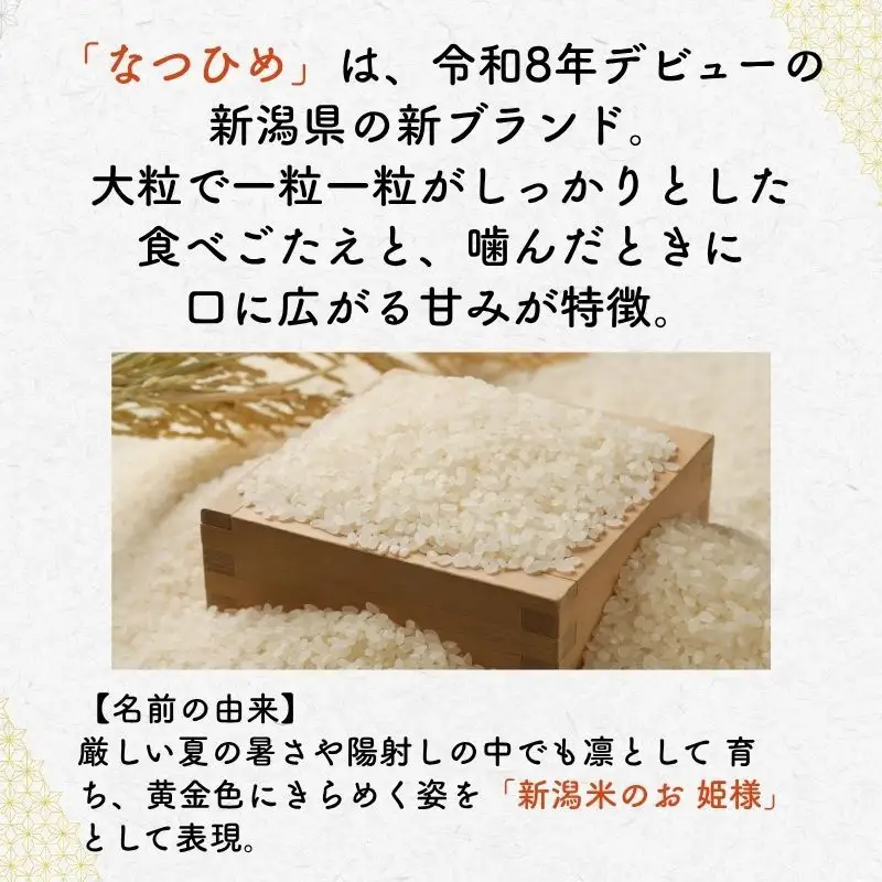 令和8年産 新米 新ブランド 【なつひめ】 新潟県上越市産 5kg 5キロ 先行予約 新品種 蛍の里
