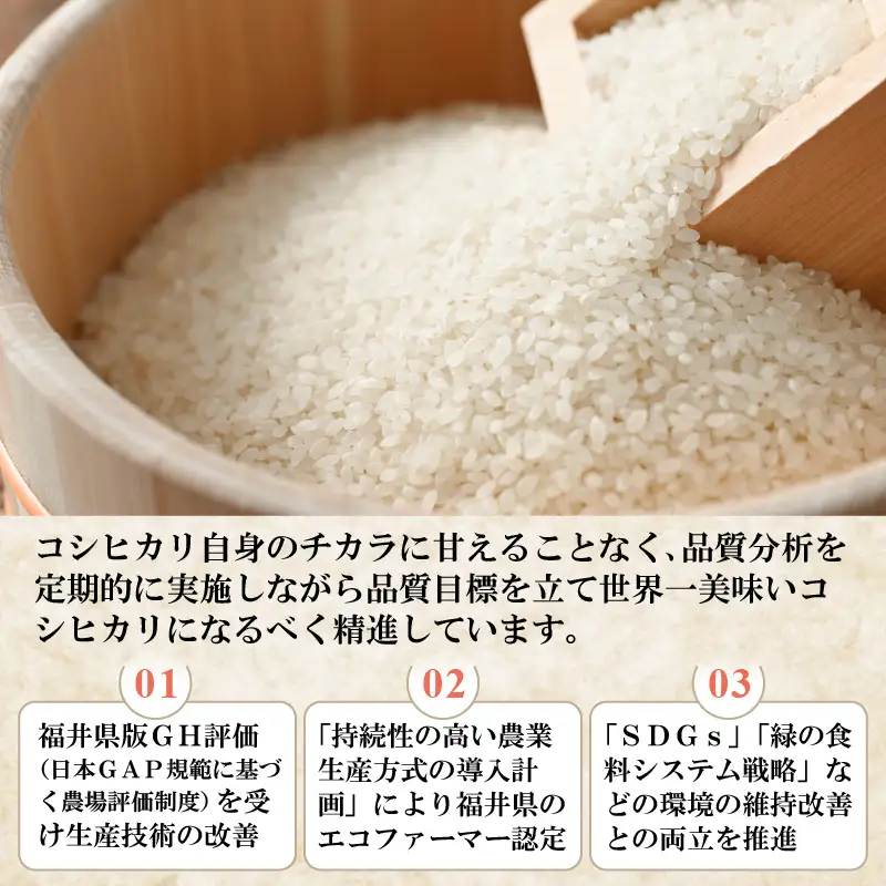 【先行予約】てらおのコシヒカリ白米 5kg×1袋 ※2026年9月20日以降順次発送 [A-041005]
