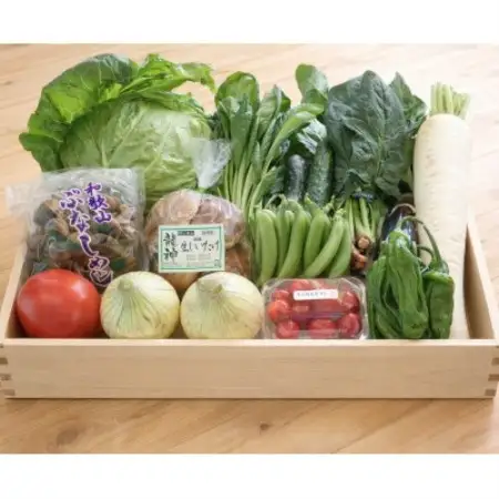 旬の新鮮野菜セット13種以上【配送不可地域：離島】【1753458】