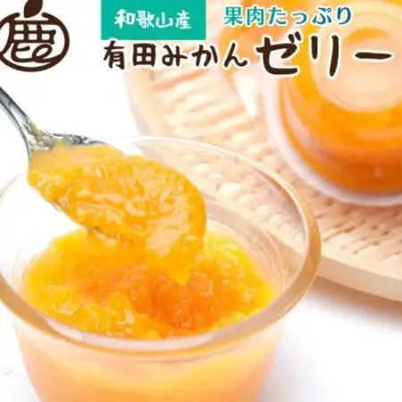 果肉ごろごろ有田みかんゼリー9個【有田みかんネクターをゼリーにしました】【1758856】