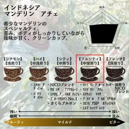 インドネシア マンデリン アチェ 中深煎り 500g ×2【豆のまま】【1681781】