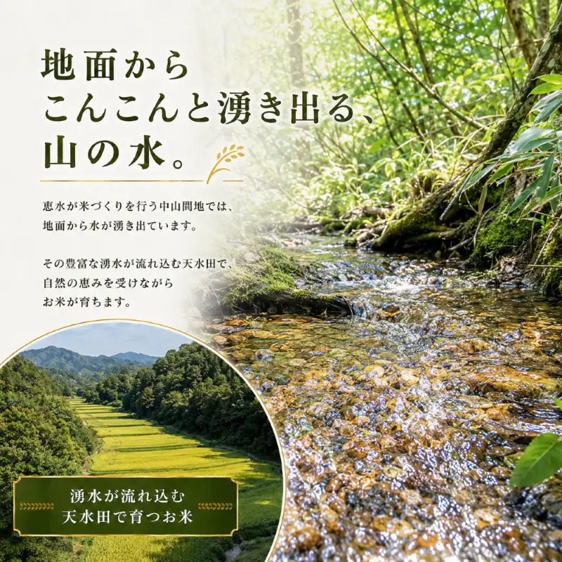 【ふるなび限定】【令和8年産 】新潟県産 農家応援米 精米 10kg　FN-Limited-SP