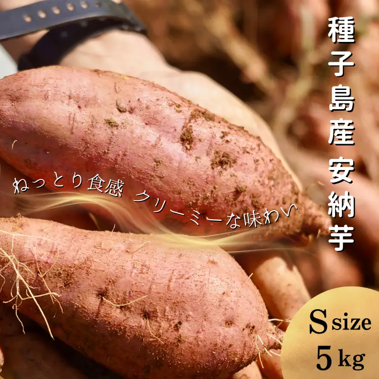 【 新物 11月～ 】 種子島 めっかり申さん 安納いも ( 生いも ) S サイズ 5kg　NFN629【300pt】