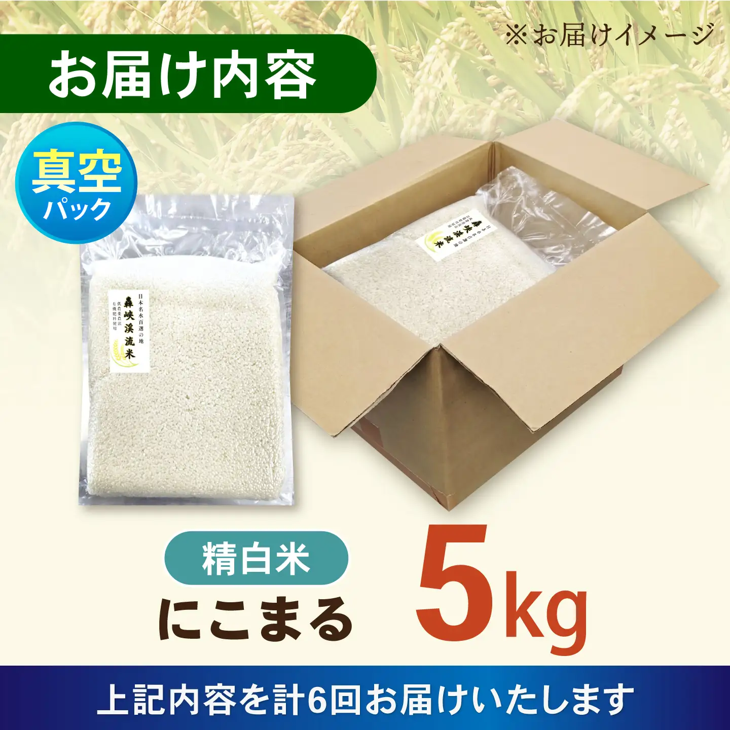 【6回定期便】真空【轟峡渓流米】精白米(にこまる) 5kg / 米 お米 白米 精白米 5kg 真空 真空パック 長期保存 / 諫早市 / 轟名水ファーム高来[AHFF031]