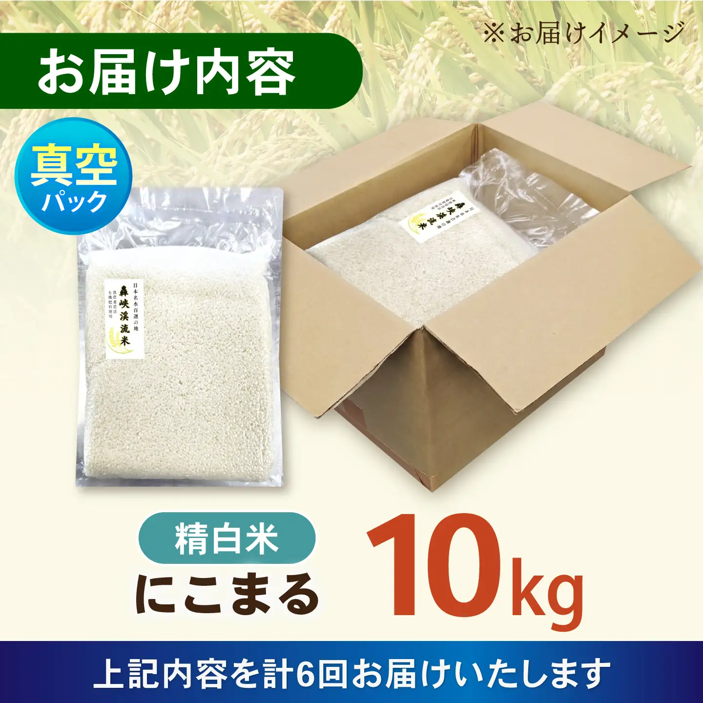 【6回定期便】真空【轟峡渓流米】精白米(にこまる) 10kg / 米 お米 白米 精白米 10kg 真空 真空パック 長期保存 / 諫早市 / 轟名水ファーム高来[AHFF033]